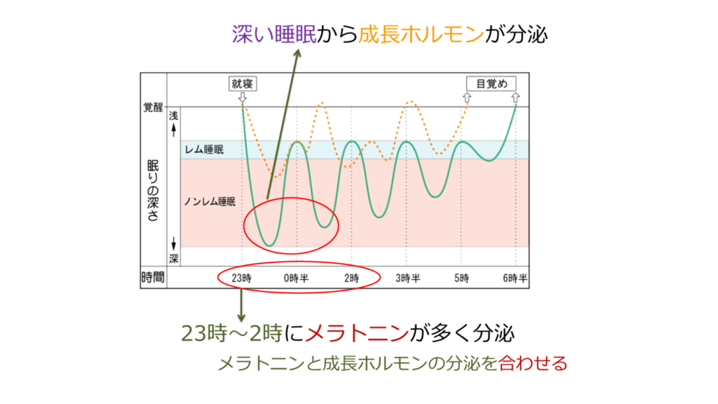 睡眠CBDメラトニン